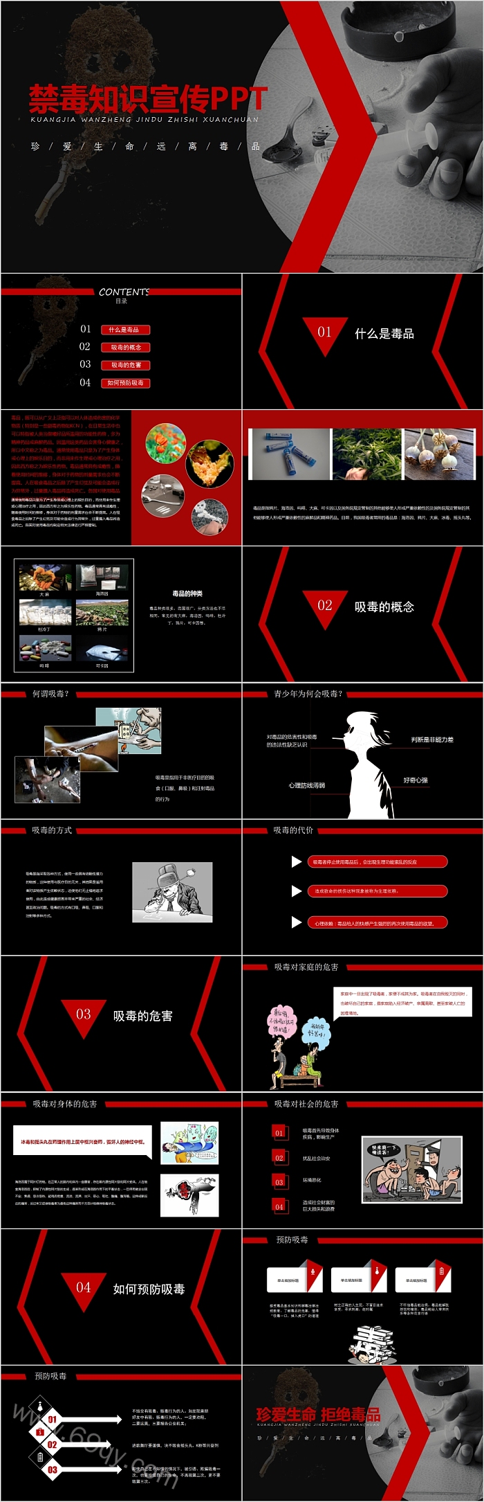 珍爱青春远离毒品禁毒知识宣传PPT