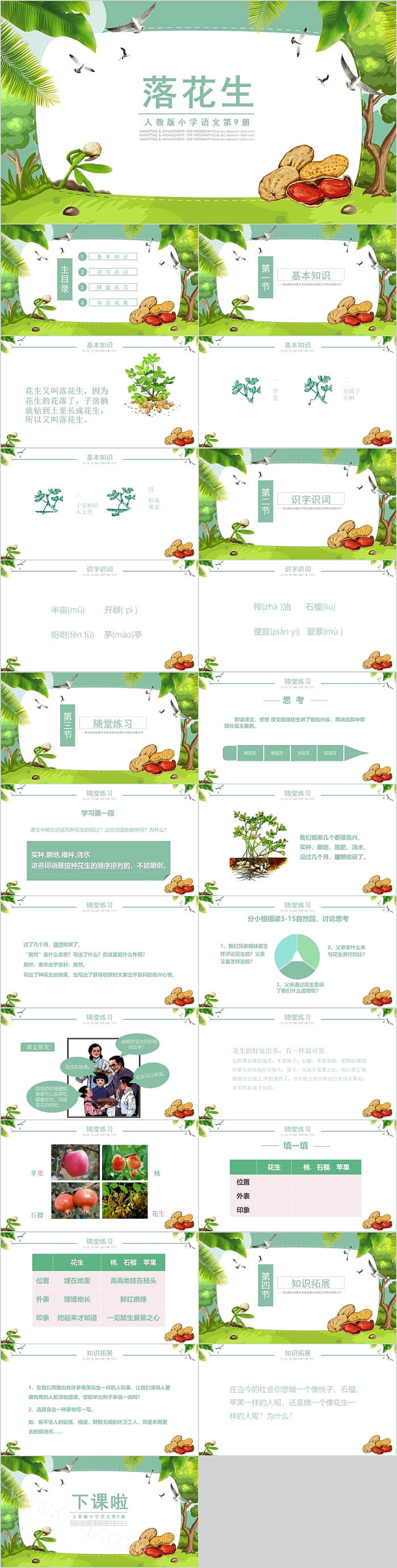 人教版小学语文第9 册五年级落花生PPT课件