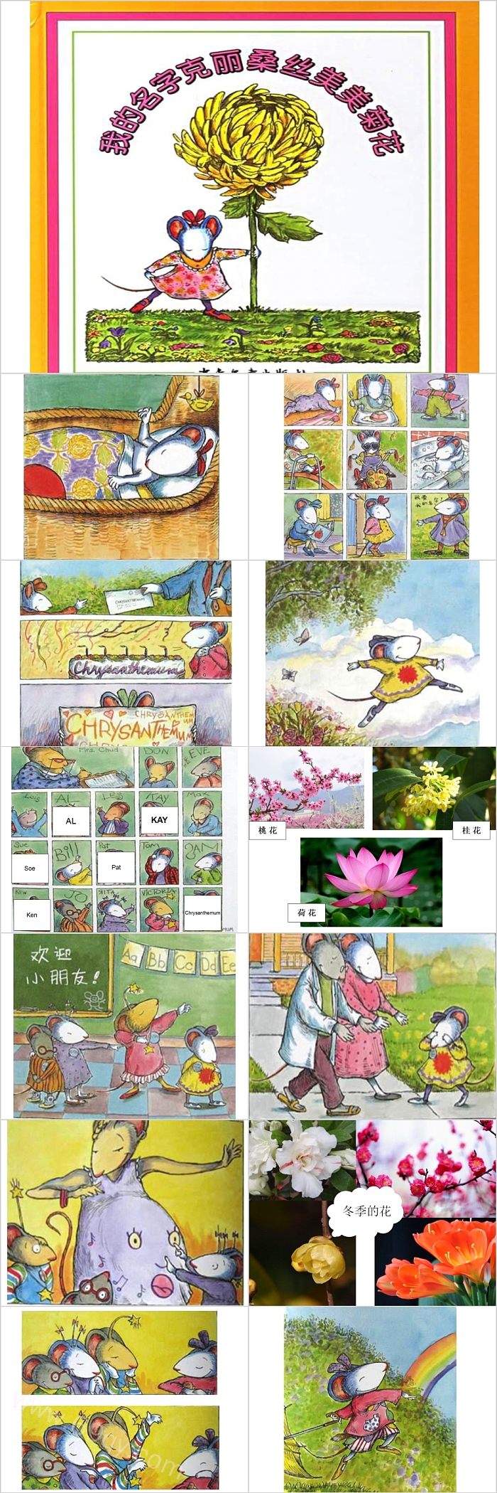 优质幼儿园大班语言《我的名字克丽桑斯丝美美菊花》绘本故事PPT课件