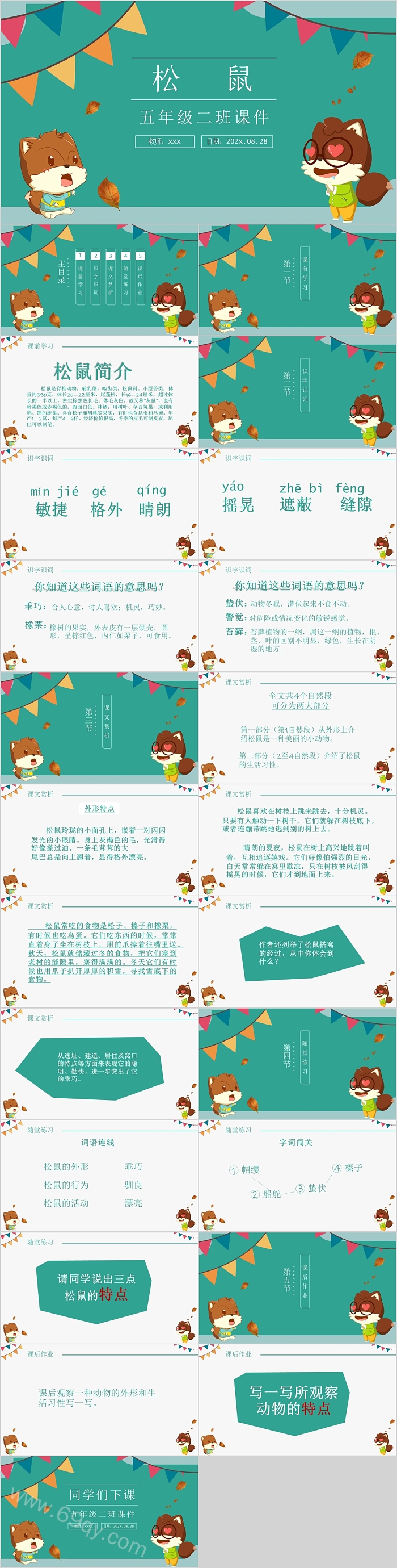 人教版五年级语文松鼠PPT课件