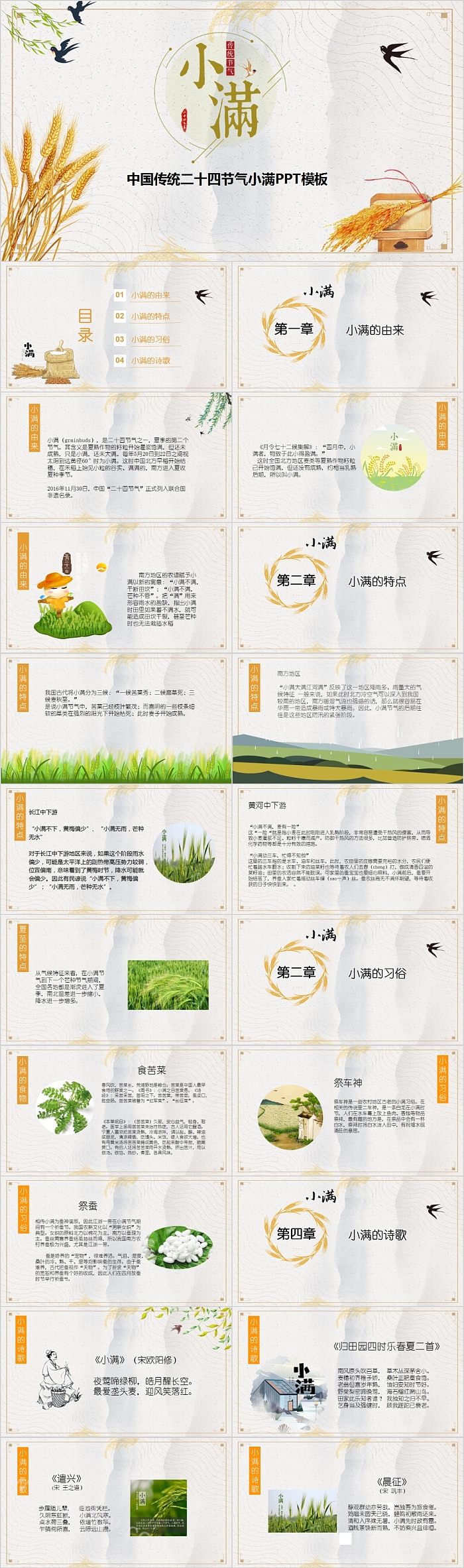 传统节气中国传统二十四节气小满PPT模板