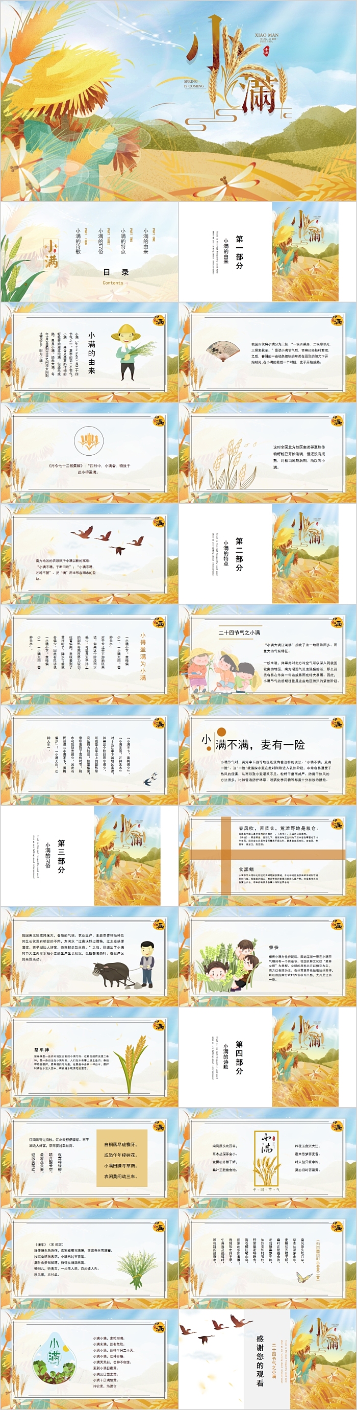 简约麦穗二十四节气之小满ppt模板
