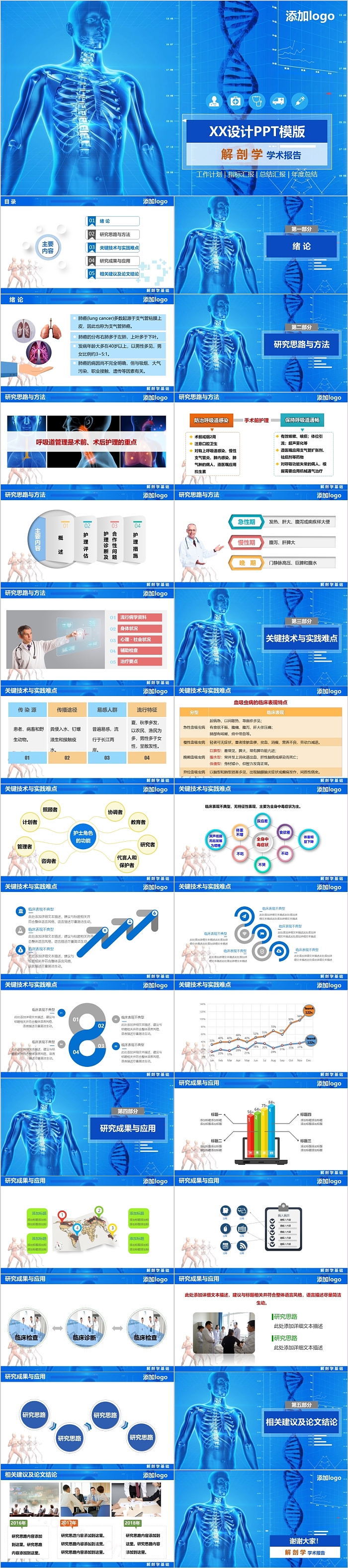 解剖学学术报告论文答辩设计PPT模版