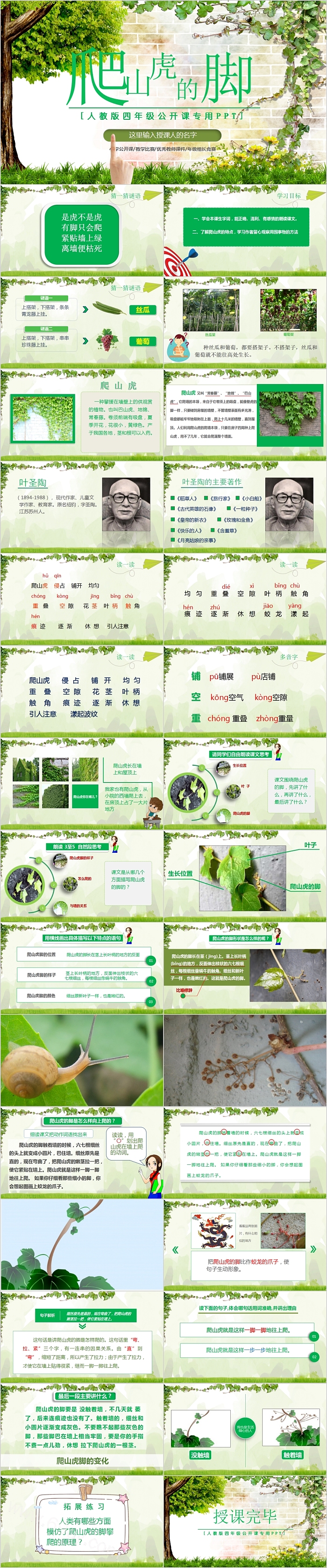 人教版四年级公开课爬山虎的脚PPT课件