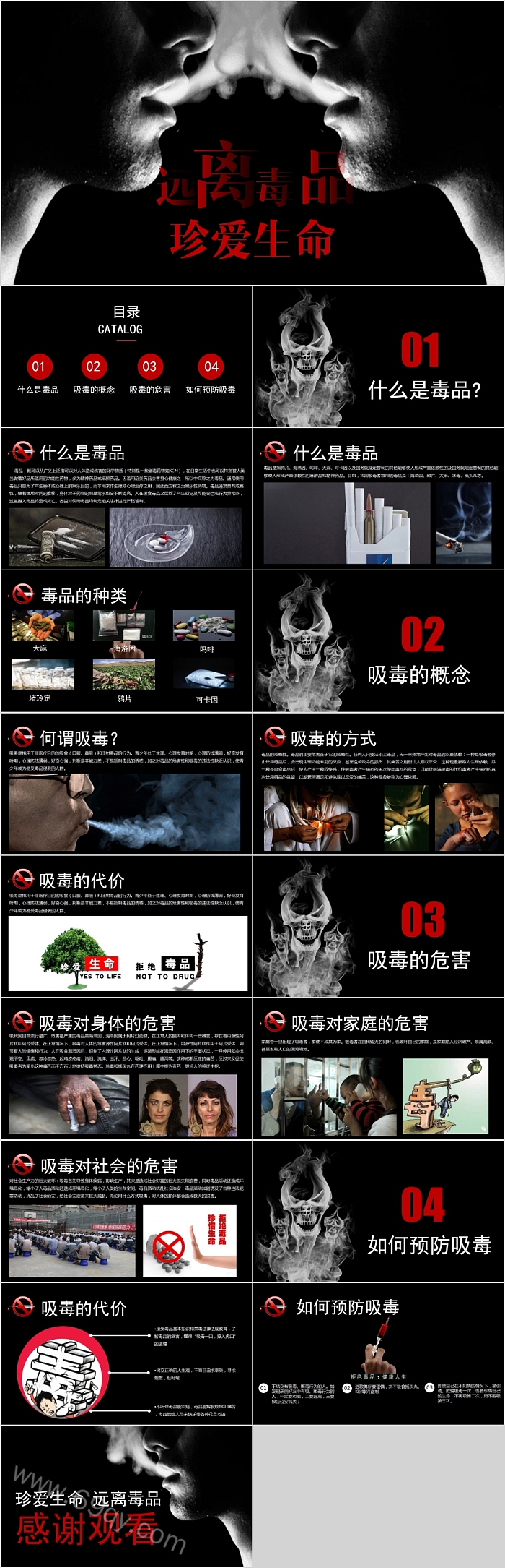 远离毒品珍爱生命禁毒教育PPT
