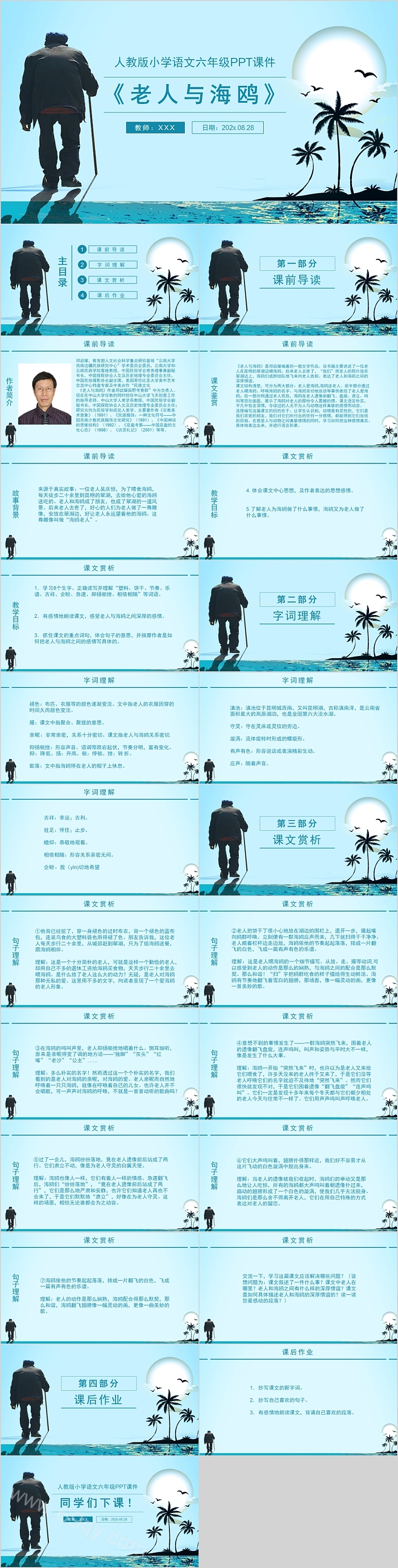 人教版小学语文六年级语文老人与海鸥PPT课件