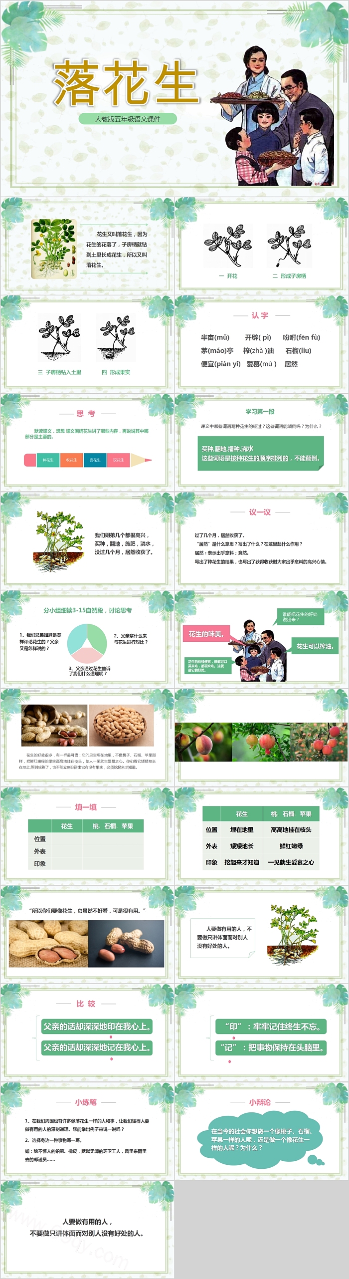 人教版五年级语文课件落花生PPT课件