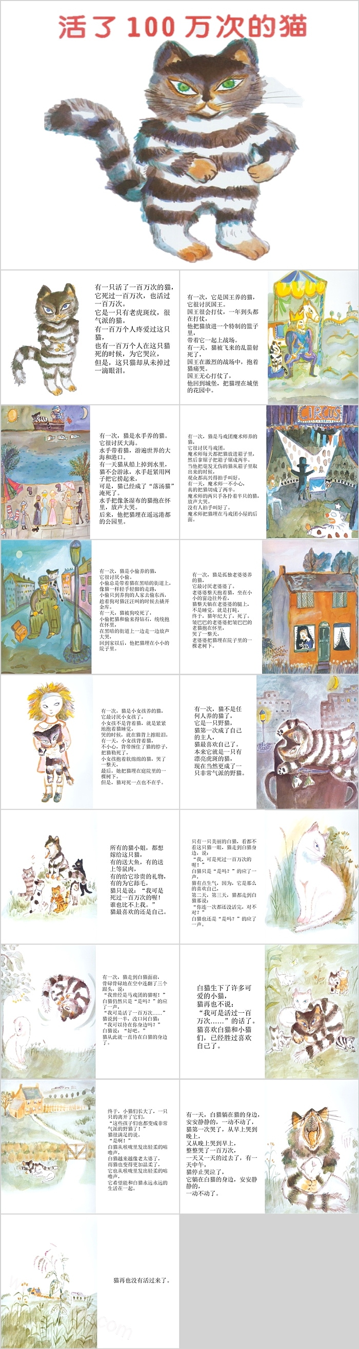 幼儿园大班中班语言《活了一百万次的猫》绘本故事PPT课件