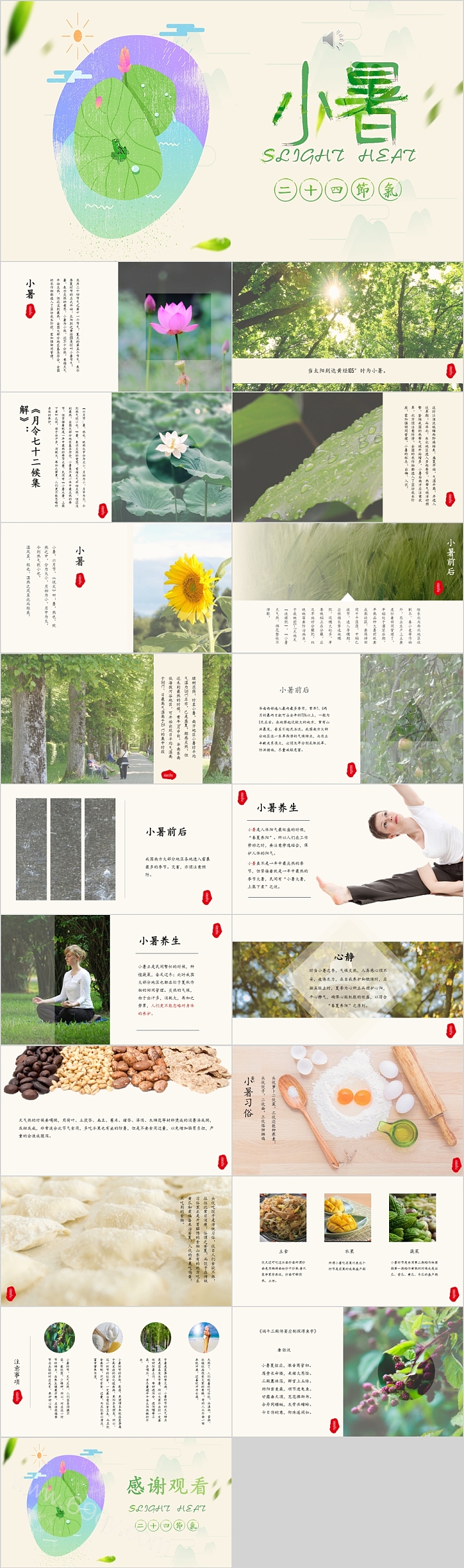 莲花夏至小暑节气通用PPT模板
