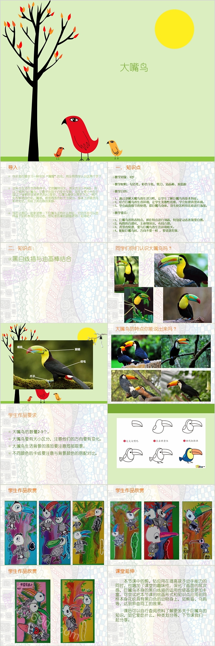 卡通精美大嘴鸟美术课件PPT