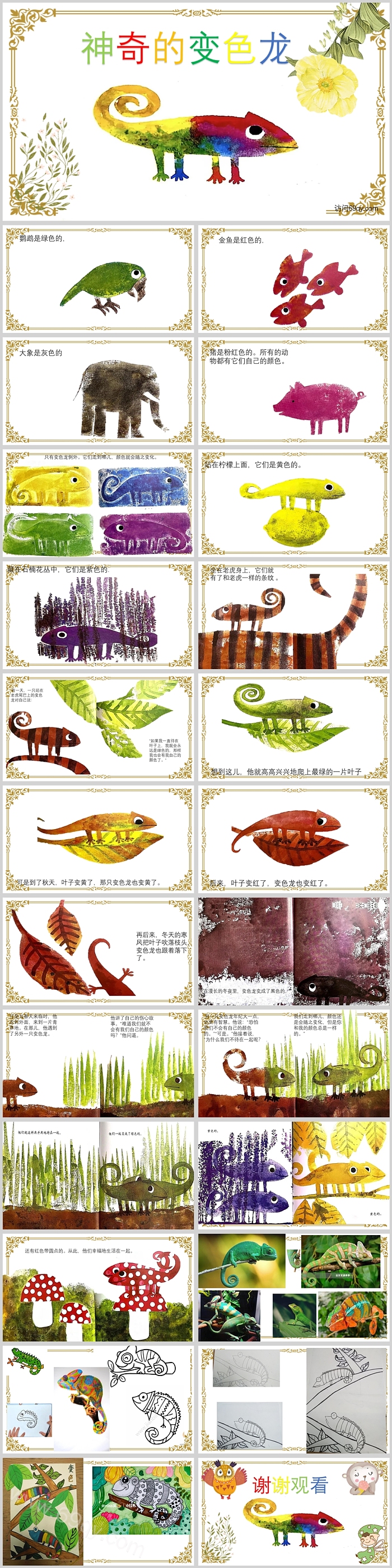 精美创意幼儿园美术画《神奇的变色龙》教学绘本故事PPT课件