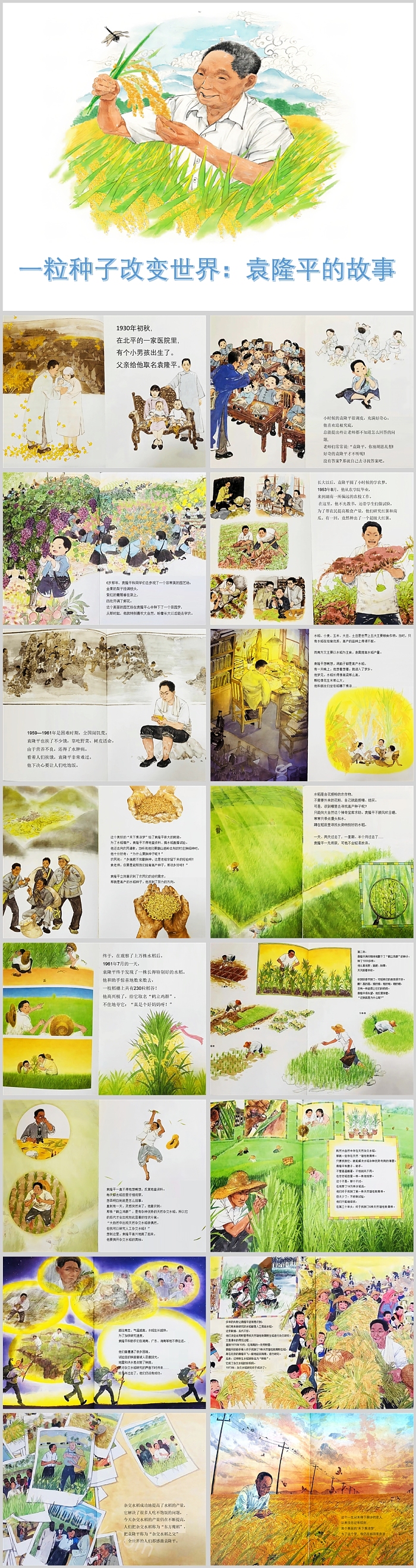 精美高清版可编辑红色故事一粒种子改变世界袁隆平的故事PPT课件