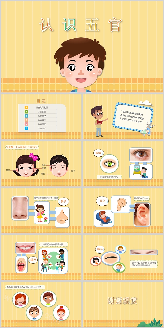 幼儿园科学活动认识五官说课PPT课件