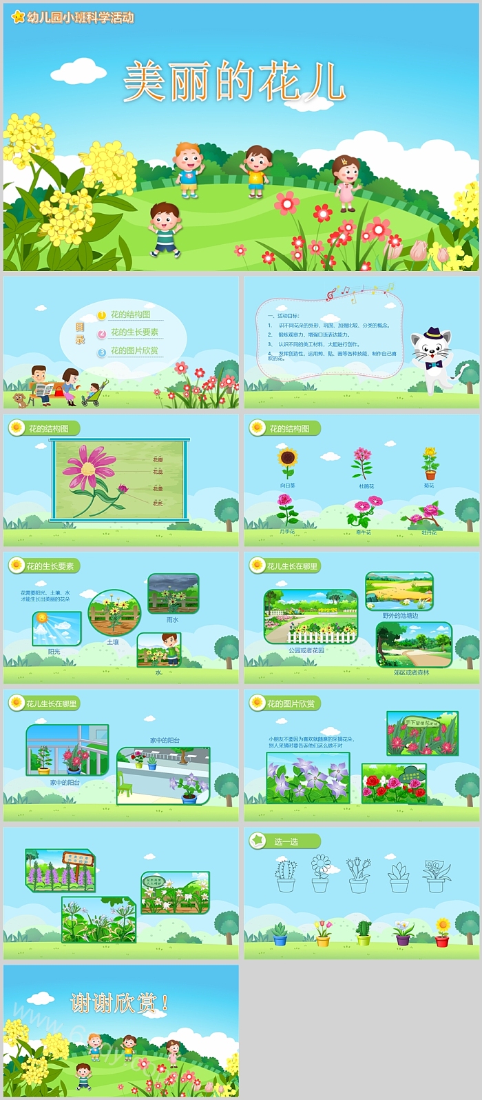 幼儿园小班科学活动美丽的花儿说课ppt课件