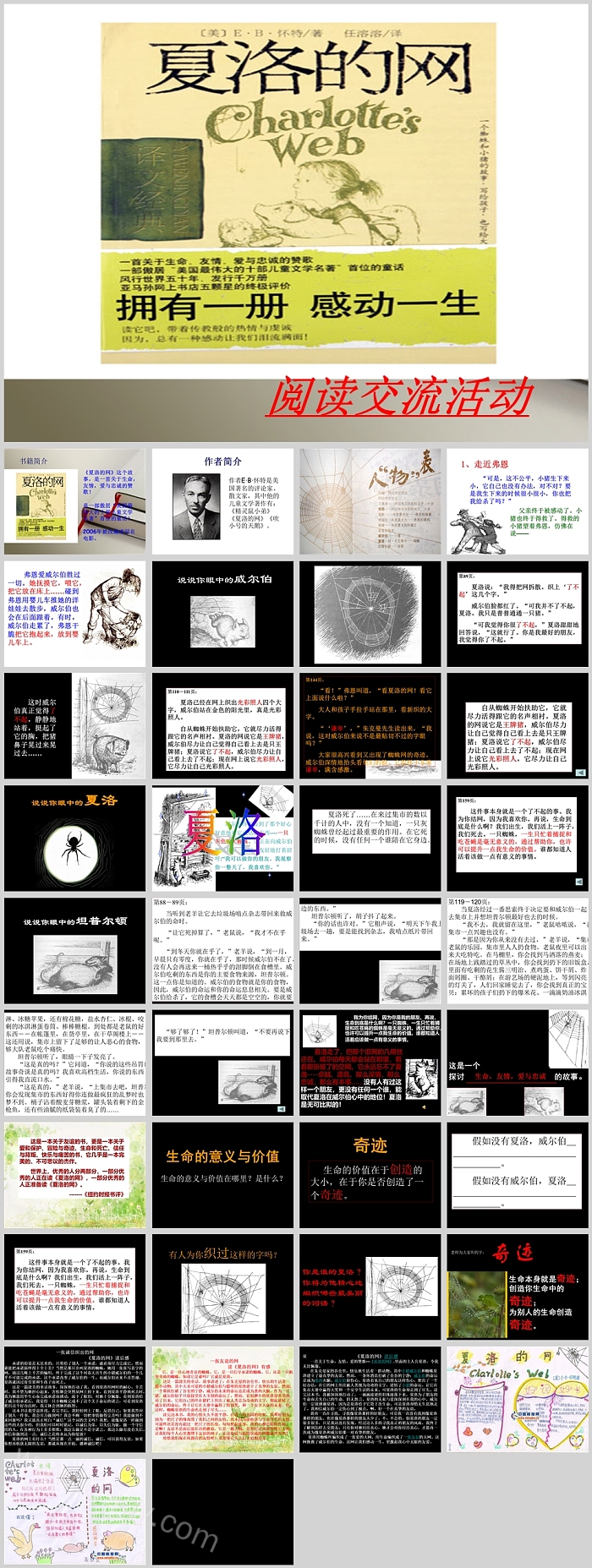 经典幼儿园语言《夏洛的网》教学绘本故事ppt课件