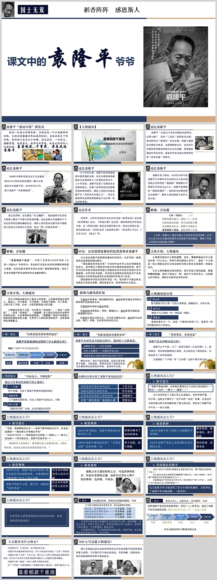 课文中的杂交水稻之父袁隆平爷爷的故事介绍PPT课件