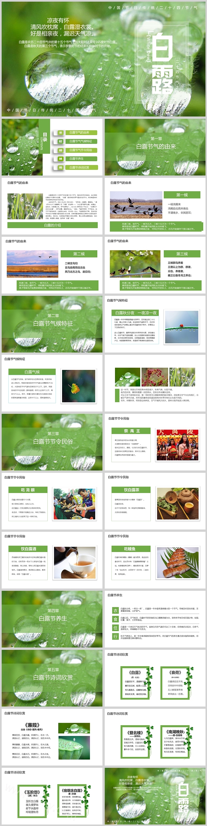 经典卡通古风中国传统二十四节气白露节气介绍主题班会ppt