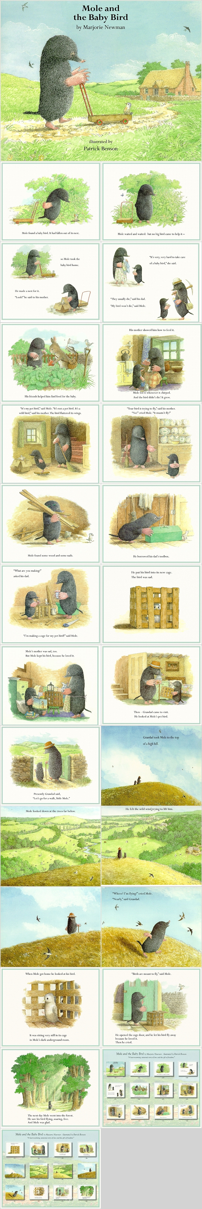 卡通幼儿园鼹鼠和小鸟《Mole and Baby Bird》英文绘本故事ppt课件