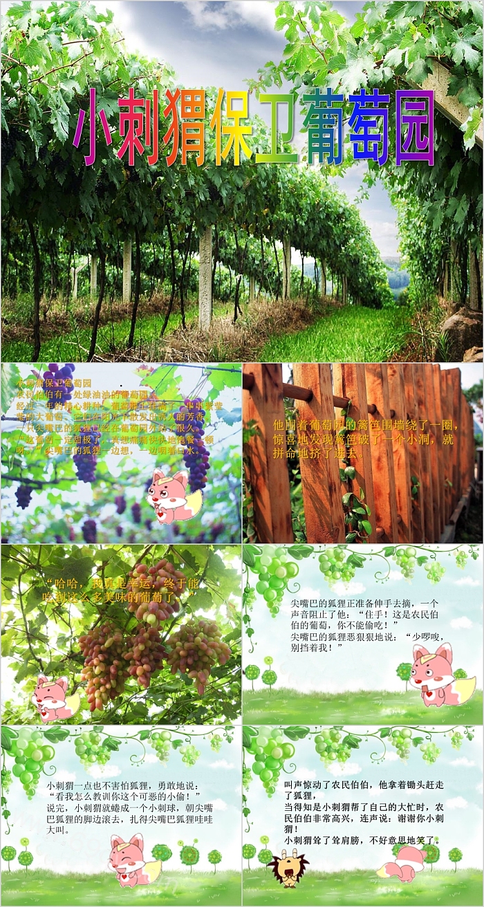 卡通幼儿园大班语言《小刺猬保卫葡萄园》儿童绘本故事ppt课件