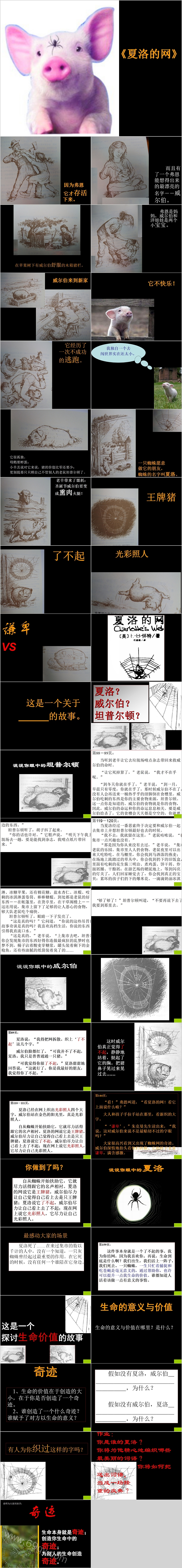 完美版《夏洛的网》幼儿园绘本故事ppt课件