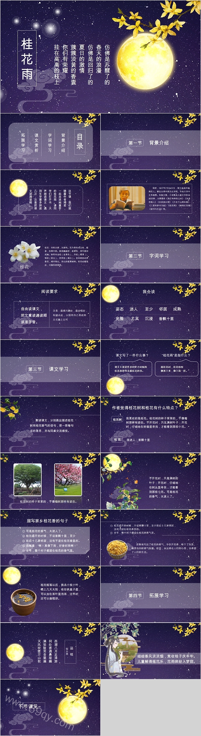 简约人教版五年级课件桂花雨PPT模板