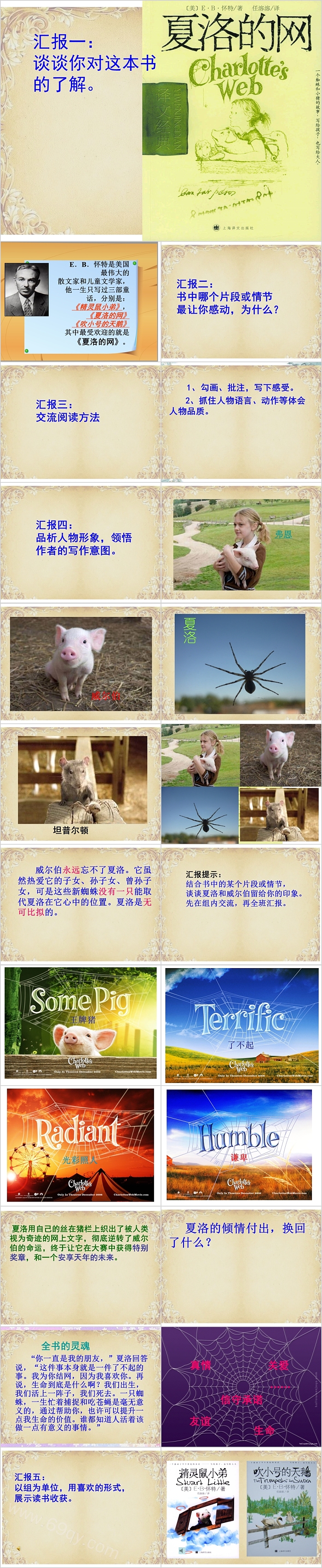 完美版幼儿园小学《夏洛的网》教学绘本故事ppt课件