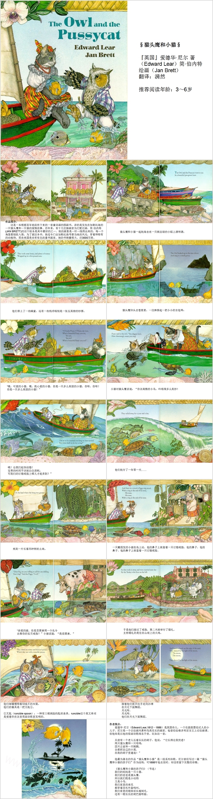 幼儿园《猫头鹰和小猫》儿童绘本故事ppt课件