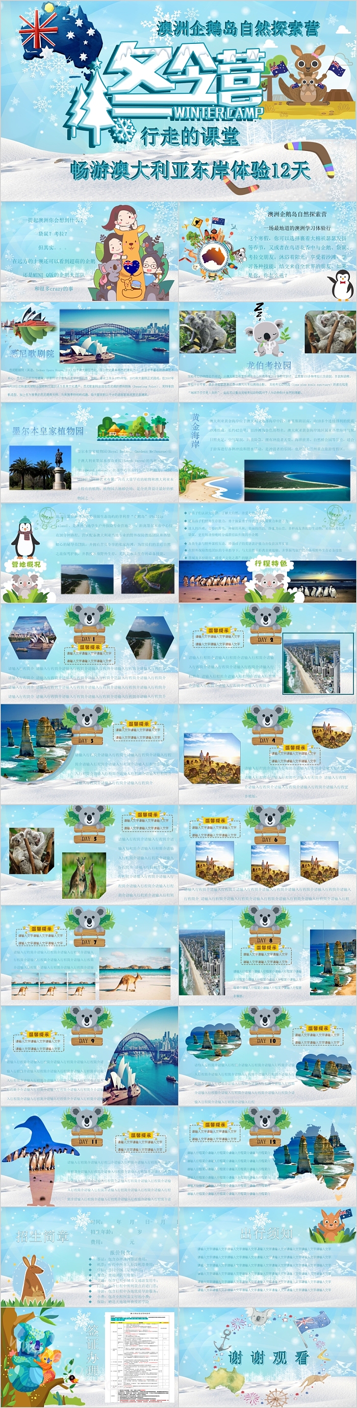 澳洲企鹅岛冬令营寒假生活