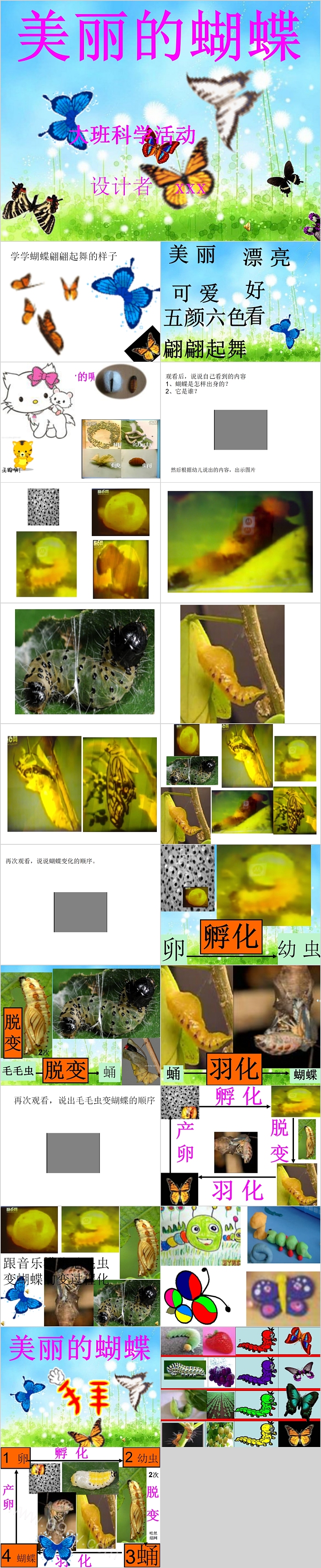 幼儿园大班科学活动《美丽的蝴蝶》幼儿教育绘本故事ppt课件