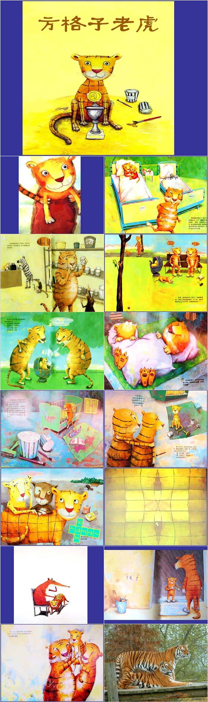精编版幼儿园大中小班《方格子老虎》教育绘本故事PPT课件带图片