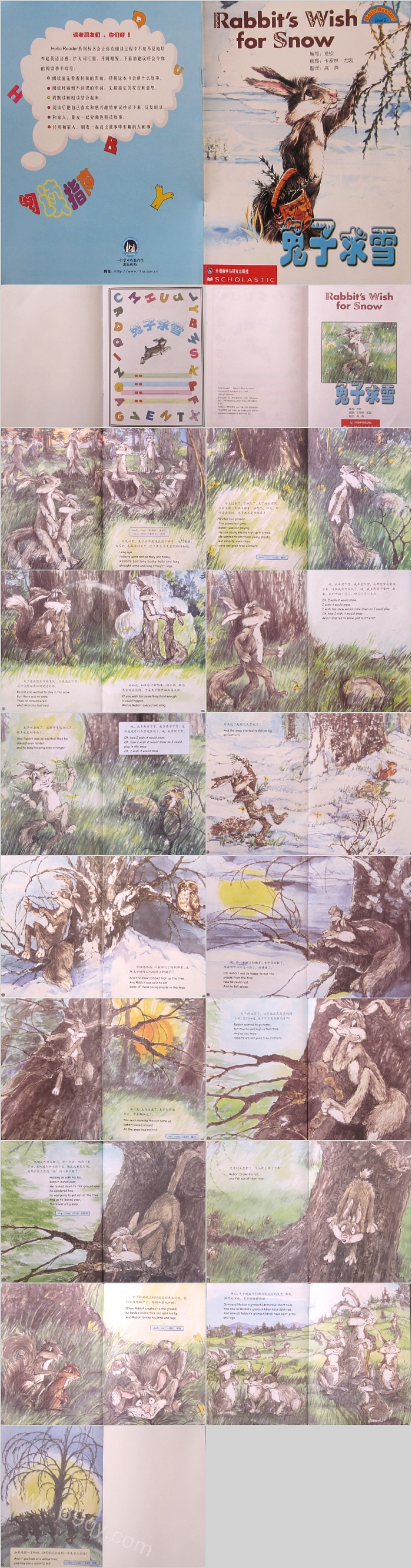 幼儿园大班语言《兔子求雪》绘本故事ppt课件(雪兔子)
