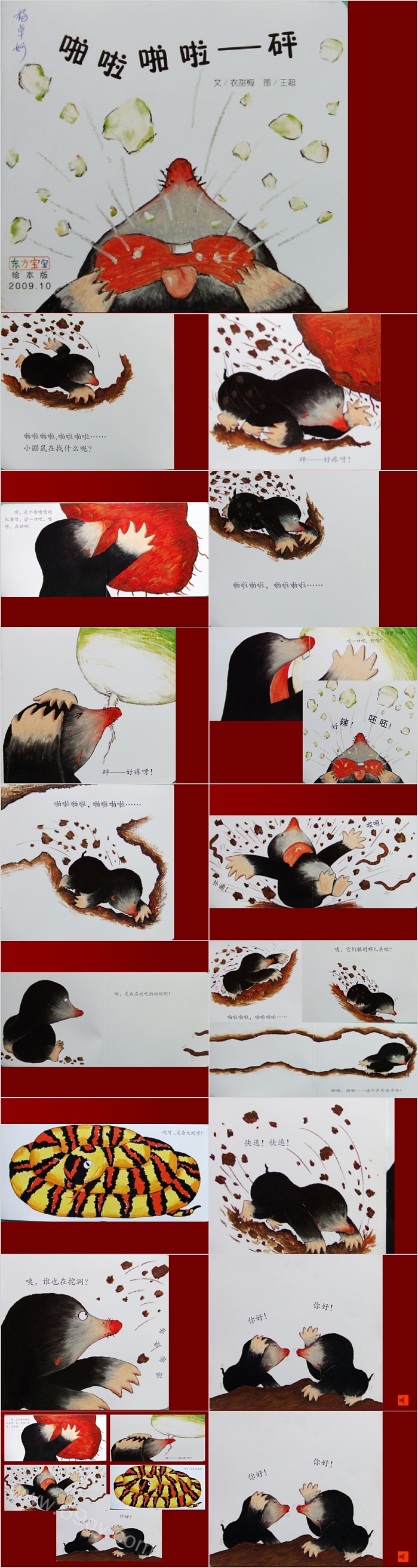 幼儿园中班语言《啪啦啪啦——砰》绘本故事PPT课件