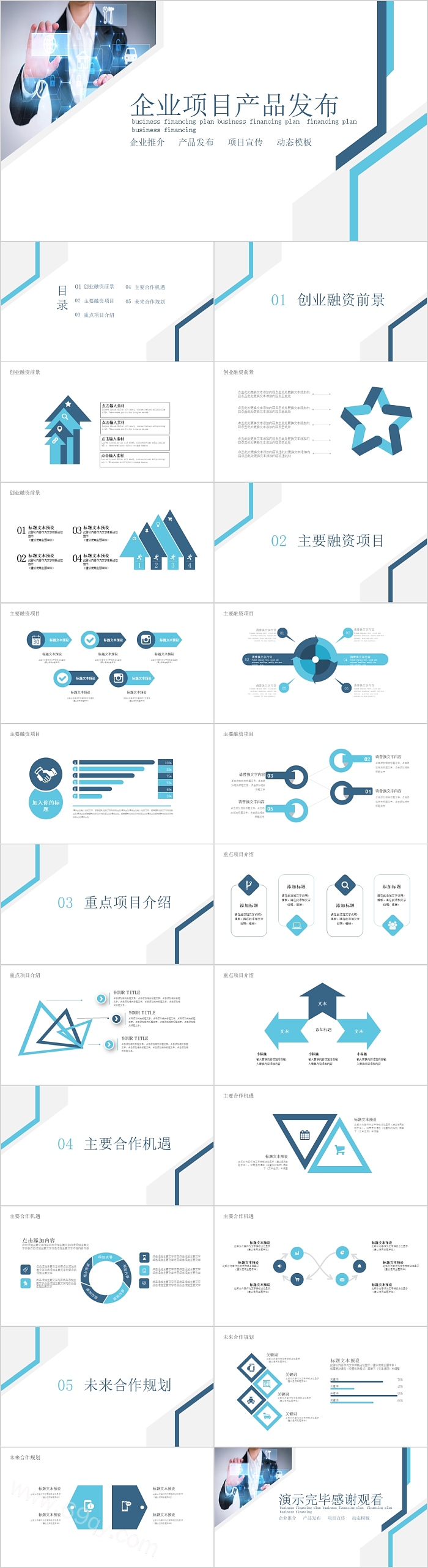 公司项目企业项目产品发布